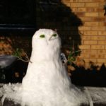 Let it Snow!