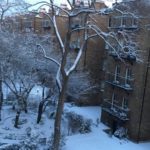 Room with a view