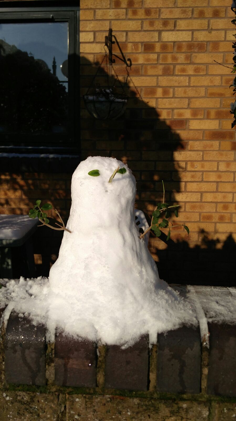 Let it Snow!