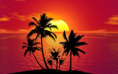 Here comes the summer!