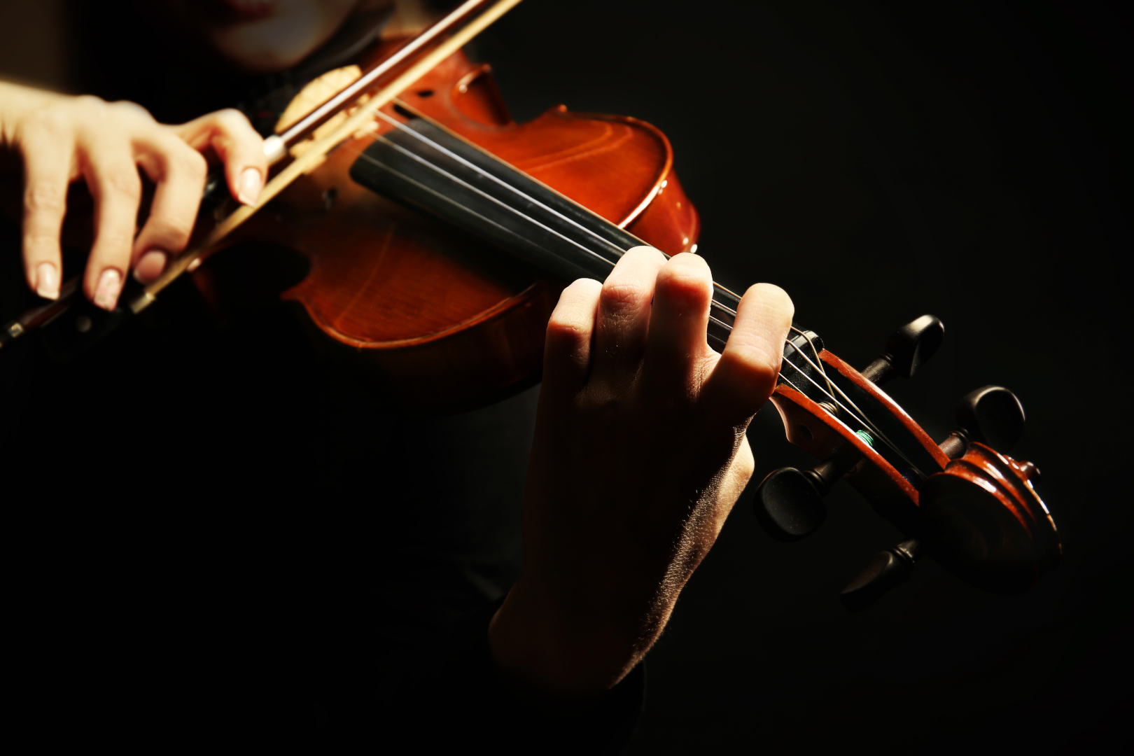 Violin