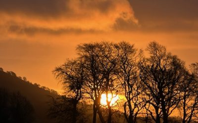 The Sky I came From, The Ground I chose by Ahed Aljondi